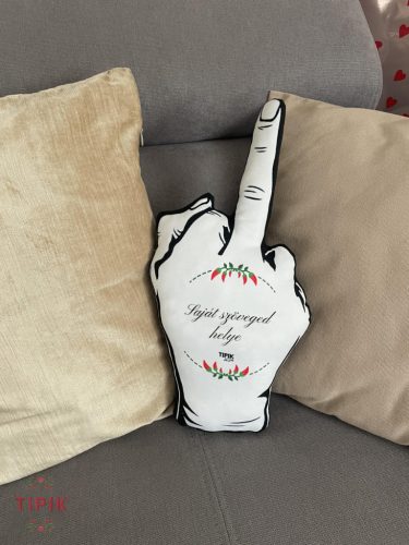 EGYEDI SZÖVEGŰ - kapdbe párna